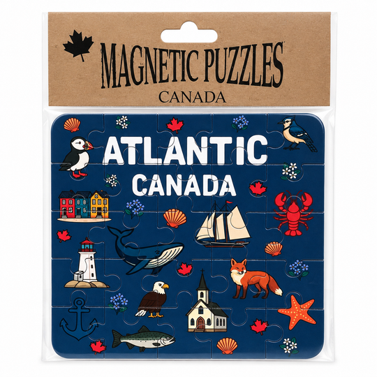 Mini Magnetic Puzzles