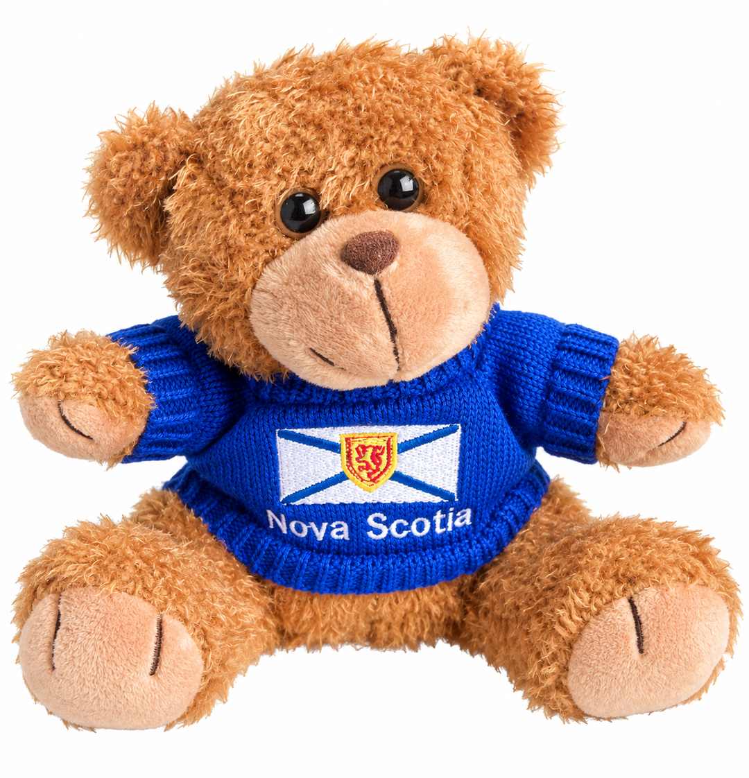 Bear in Nova Scotia sweater